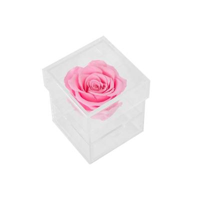 China Fresh Cut Rose Preserved Flowers And Box Roses Acrylic Flowering Plants Rose Christmas Valentine Bag Eternal Halloween Forever Customize for sale