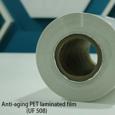 Cina Film di corrosione del film di PVDF l'anti ha laminato le membrane d'impermeabilizzazione del film in vendita