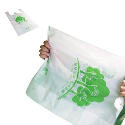 China Household Products 100% Biodegradable PLA Compostable Shopping Bags for sale