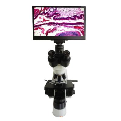 China WSM-SW1001T MEILISONG biological microscope with 12inch touch screen leica microscope WSM-SW1001T for sale