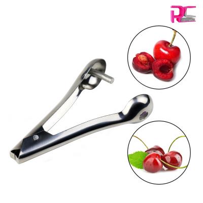 China Viable Hot Selling OEM Fruit Cherry Pitter Core Metal Tool Stainless Steel Manual Comercial Price for sale