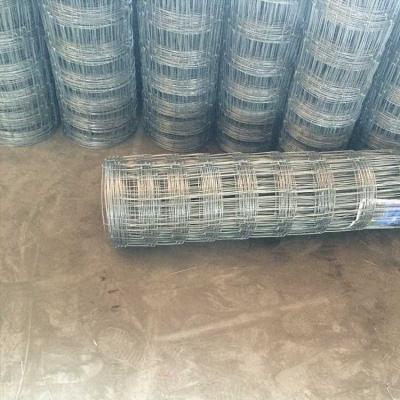 China Factory Direct Sale Easily Assembled Good Corrosion Resistance Galvanized Farm Fence Wire for sale