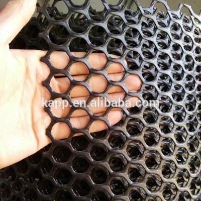 China Agricultural Mesh Hexagonal Rigid Black Plastic Mesh / Poultry Plastic Mesh for sale