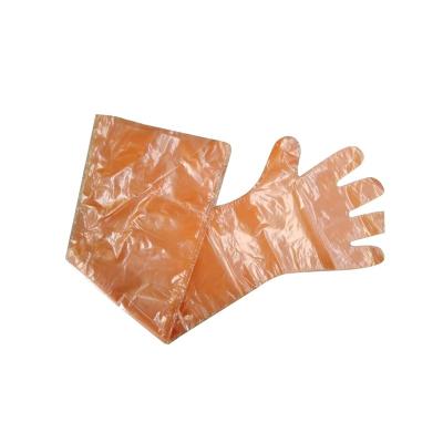 China Epidemic Prevention of Cattle/Cattle Breeding Popular Long Arm Orange PE Plastic Disposable Veterinary Glove for sale