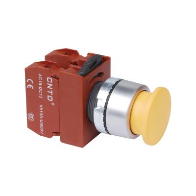 China CNTD IP65/IP40 C2PNM3 30mm 10A 380V 2500VAC 50Hz Momentary Waterproof Push Button Switch for 1 Minute C2PNM3 for sale