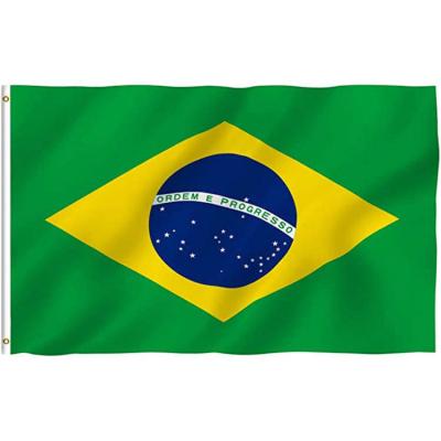 China High Quality Customized Brazil National Health Care Institutes Flags Brazil Flag for sale