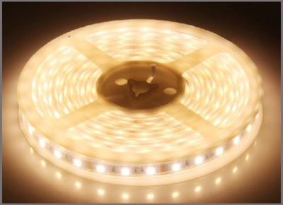 China LED strip flexible light 3528SMD White LED strips DC12V LED String waterproof IP65 decorative light for sale