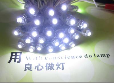 Cina 9 millimetri di luce IP68 50pcs/string di quel di 5V Waterproof de Led per le lettere di canale principali in vendita