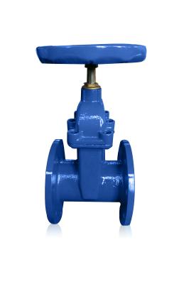 China F4 QT450 Elastic Seat Gate Valve PN16 Ductile Iron Sewage Gate Valve for sale