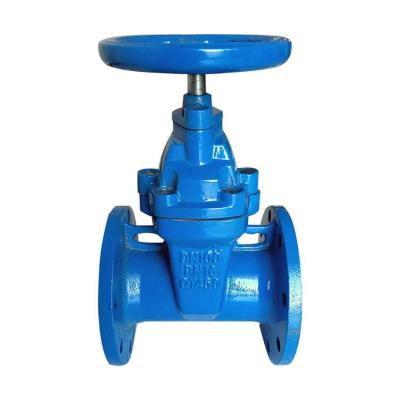 中国 Dn50-Dn300 Ductile Iron Resilient Seated Gate Valve For Sewage And Oil 販売のため