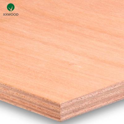 China Modern 1220*2440mm Commercial Okoume Plywood Supplier From China for sale