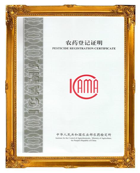 ICAMA - Shenzhen Eighty-Eight Industry Company Limited