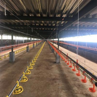 China Poultry Farm Chicken Broiler Floor Raising Systems Poultry Farming Equipment With Pan Feeding Lines In Indonesia for sale