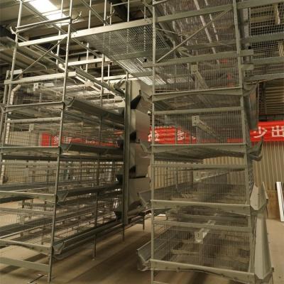 China Farms Factory Supply Battery Cage H Type For Automatic Poultry Chicken Cage Chicken Cage For Layers for sale