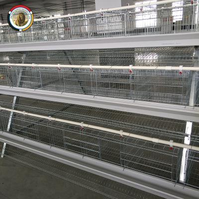 China African Farms Market 3 Tiers Chicken Egg Layer Cage For South Africa Poultry Farm Freestanding Design Chicken Cage for sale