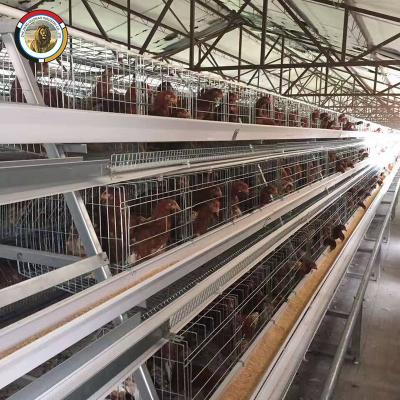 China Chicken Farm Best Sell 96 120 128 160 Birds Layer Poultry Battery Chicken Cages Poultry Equipment For Sale for sale