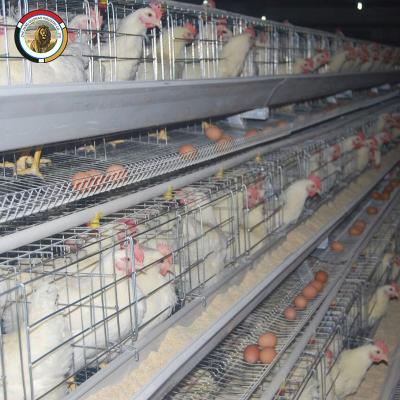 China Chicken Farm 4 Tier 160 Bird Layers Chicken Cage Battery Cage with Nipple Drinker for Layer Farms in Nigeria for sale