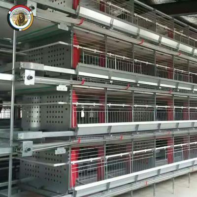 China Farms Uganda Market Chicken Cages H Type Chicken Layer Cage Chicken Layer Poultry Farming Cages for sale