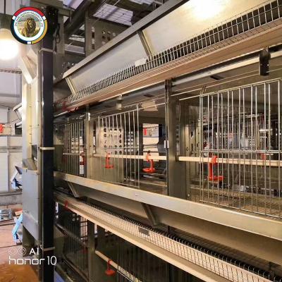 China Farms Hot Sale African Market Galvanized Automatic H Type Chicken Cages Layers Poultry Chicken Cage for sale