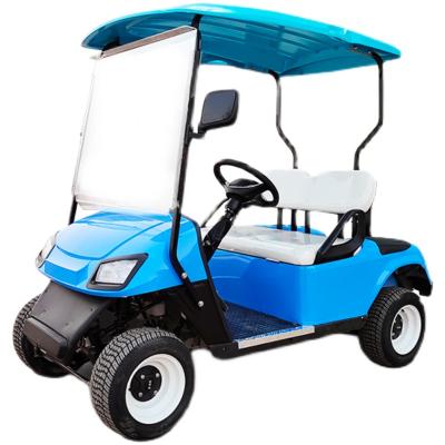 China Good Price 2 Seats Blue Electric Golf Cart Buggy For Adults 205/50-10 for sale