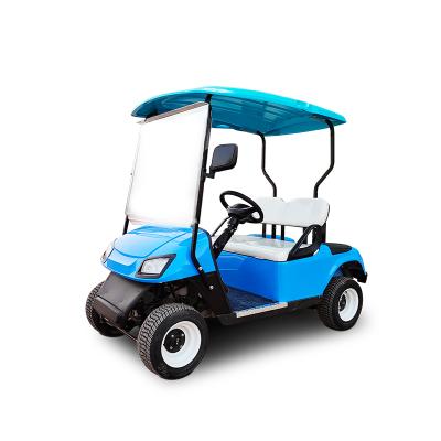 China Factory price 2 seats blue electric golf cart for sale 205/50-10 for sale