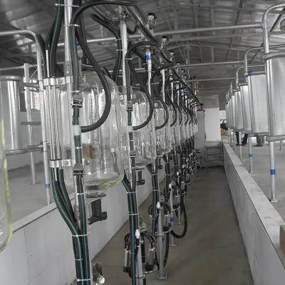 China La leche de las vacas y las cabras de las granjas lecheras en venta