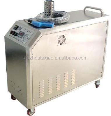 China For All Kinds Of Hot Sale 13 Bar Dirty Cleaning Single Gun Steam Cleaning Machine For Carpet And Upholstery for sale