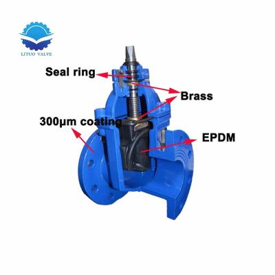 China General With Price 50mm Cast Iron Pn16 Dn100 Resilient Seated Water Din 3352 Seated Door Flanged Valve for sale