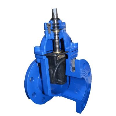 China BS General Standard 10 Inch Pn20 Rising Stem Resilient Gate Valve for sale