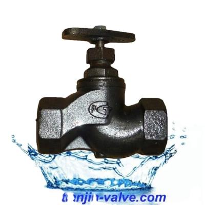 China GOST 15kch18p PN16 General Thread End Cast Iron Ball Valve for sale