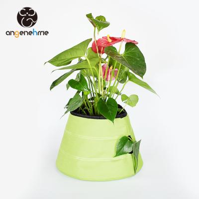 China Modern China Customized Lazy Flower Pots For Living Room for sale