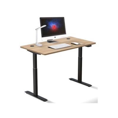 China Adjustable (Height) Experienced Chinese Supplier Exclusive Electric Office Furniture Double Monitor Sit And Stand Desks for sale