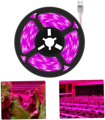 China 24v Grow Lights for Indoor Plants, Full Spectrum led Grow Light Plant Light for Indoor Plants with Red+Blue+Sunlike for sale