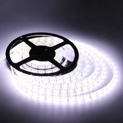 China 12V waterproof  Flexible LED Strip Lights Waterproof 120 LEDS  LED Light Strips for decoration for sale