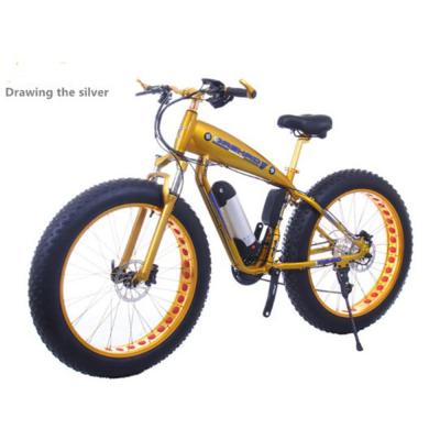 China New Standard Modern Design Competitive Price Electric Bicycle 48V for sale