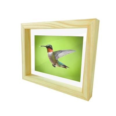 China Factory Supply 3D Modern Elegant Art Plexiglass Simple Mount Shadow Floating Box View Showcase Photo Wall View 3D for sale