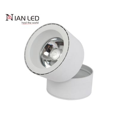 China Cheap Custom White Spot Hot Selling Led Downlights Wall Mounted Ceiling Lights for sale