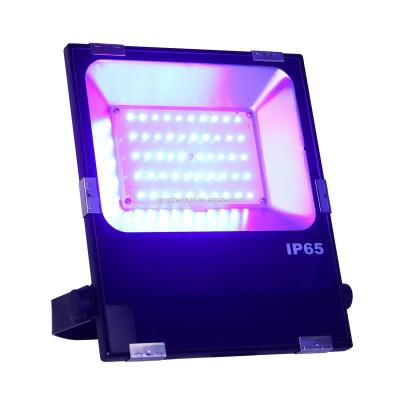 China 50W Decorative LED Purple Stage Light Treatment, IP 65 Waterproof UV-A 395-400nm Wavelength Flood Light for Indoor Outdoor Holiday Fluorine à venda