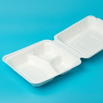 China Sugarcane Disposable Biodegradable Bagasse Food Packaging Lunch Paper Disposable Quick Tray for sale