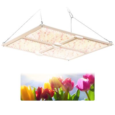 China Seed Starting SMD2835 Waterproof Full Spectrum LED Grow Lights for Indoor Plants and Medicinal Plant Growth Lamp for sale