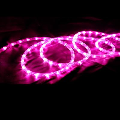 China Economical Waterproof Garden Twine String Light Pink And Warm White Decorative Light For Outdoor Decoration for sale