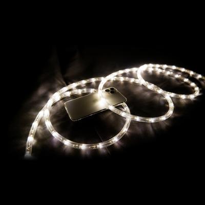 China Waterproof Outdoor Garden String Lights Warmwhite Pink Rope Lights for Wedding Garden Christmas Decoration for sale