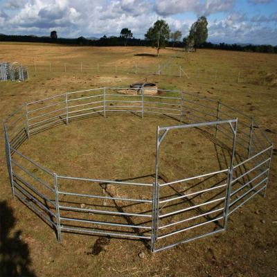 China heavy duty Hot dipped galvanized sheep/ cattle/goat/ horse yard panels livestock panel zu verkaufen