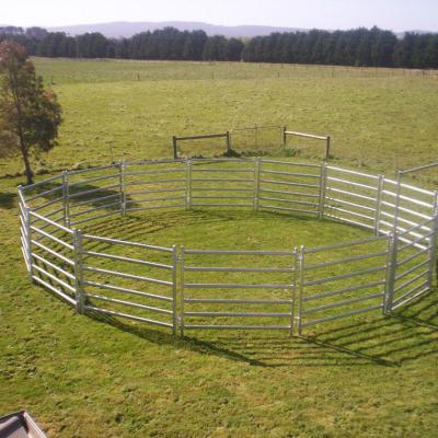 China Australia standard galvanized livestock cattle yard cattle panel corral panel zu verkaufen