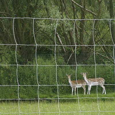 China 4ft 5ft 6ft 8ft height fence goat farming grassland cheap field fence zu verkaufen