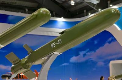 China WS-43 Attack Loitering Munition System Automatic Operation Suicide Drones for sale