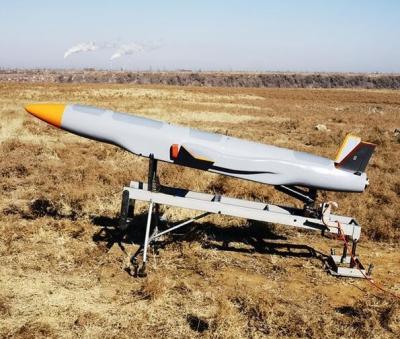 China High Speed Loitering Munition (low cost) for sale