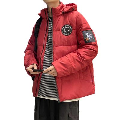 China OEM Antibacterial Mens Winter Coat Streetwear Copy Down Jacket Bubble Warm Thick Stripper Plus Size Mens Jackets for sale