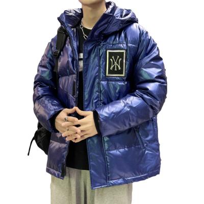 China Antibacterial Mens Down Jacket Shiny Ducks Fabric Mens Light Weight Down Jacket Winter Men's Bubble Coats for sale