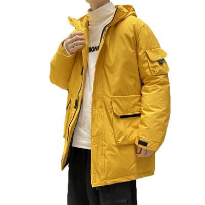 China Antibacterial china custom branded outdoor jacket new style windproof jacket for men plus size winter jacket for sale